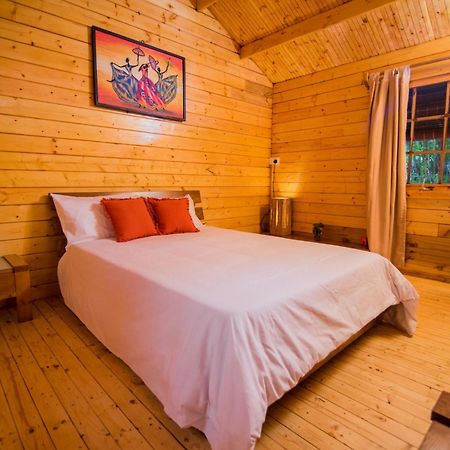 Bed and Breakfast Domaine L'Arbre Du Voyageur Henrietta Exteriér fotografie