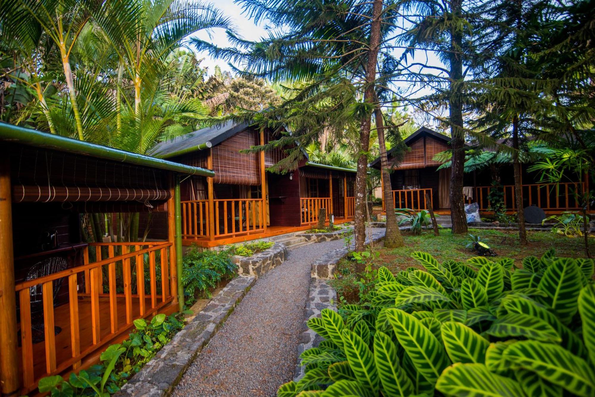 Bed and Breakfast Domaine L'Arbre Du Voyageur Henrietta Exteriér fotografie